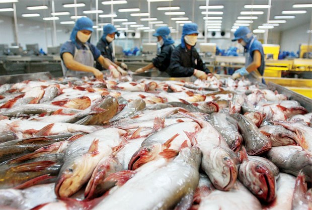 Ngành tôm xuất khẩu có nguy cơ “bỏ trống” thị trường 800 triệu USD